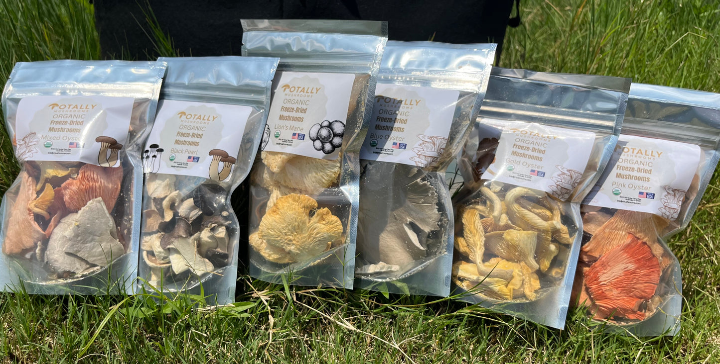 1/2 ounce Organic Freeze Dried Mushrooms - Blue Oyster
