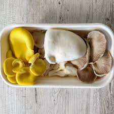 8 ounce Organic Fresh Mushrooms - Oyster Mix