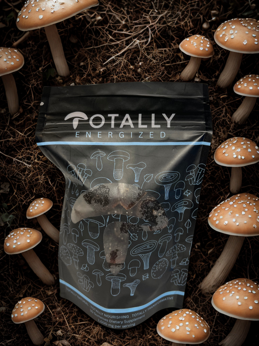 Totally Energized - Premium Mushroom Gummy 30 count pack