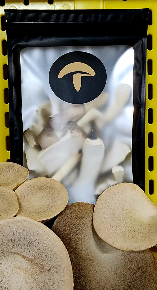 1/2 ounce Organic Freeze Dried Mushrooms - King Trumpets