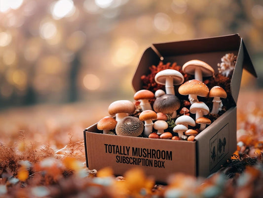 Totally Mushroom Mystery Box