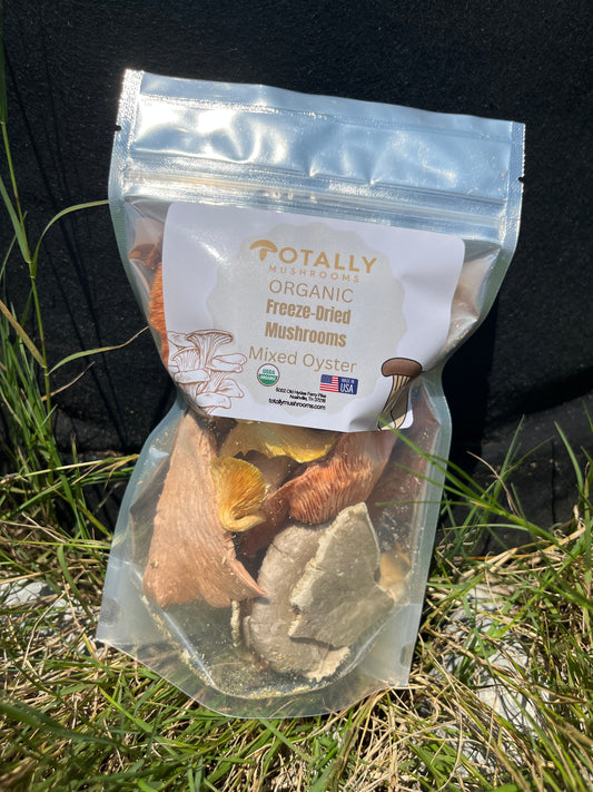 1/2 ounce Organic Freeze Dried Mushrooms - Mixed Oyster