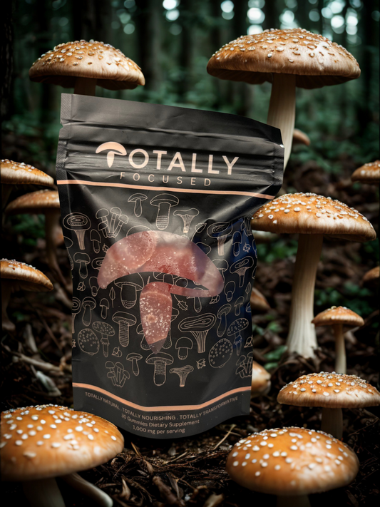 Totally Focused - Premium Mushroom Gummy 30 count pack